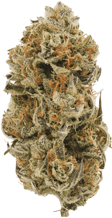 Green Kush